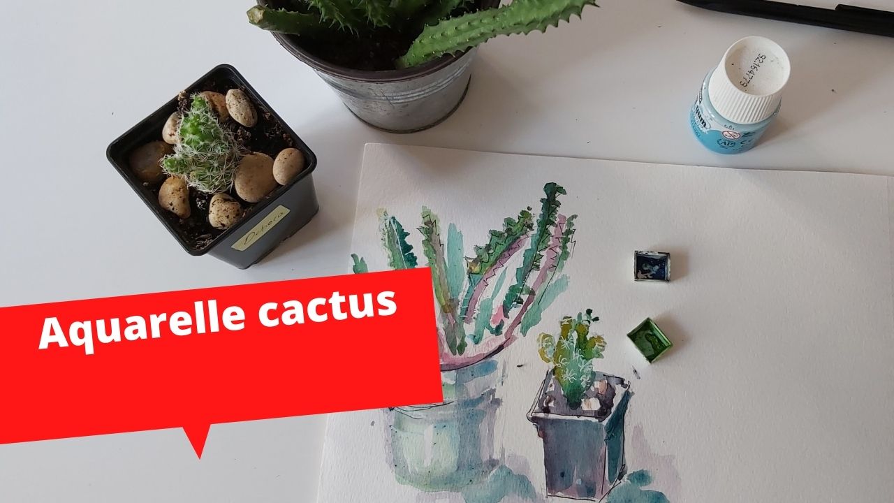 aquarelle cactus