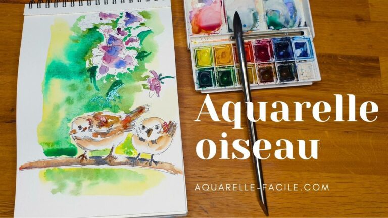 Sitemapcdatahttpsvenkedriinfooiseaux Aquarelle Facile