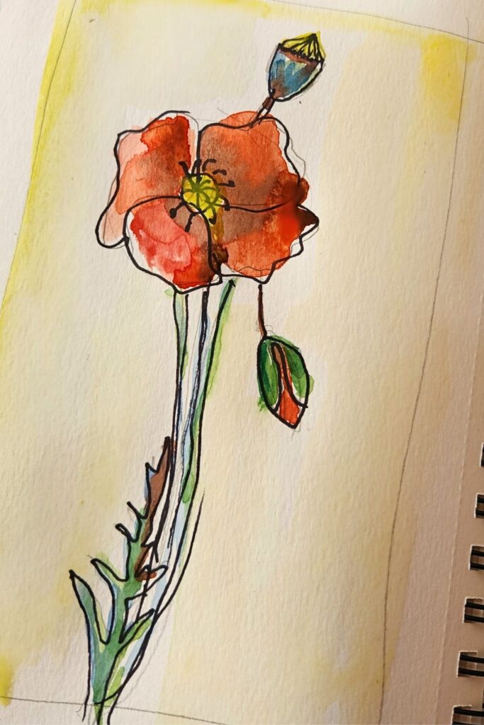 aquarelle facile- peindre un coquelicot à l'aquarelle